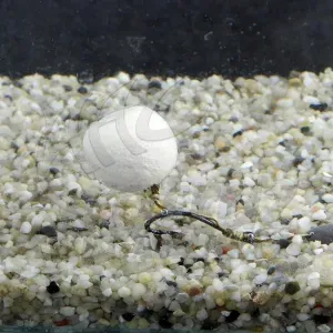 Stég Wafters Smoke Ball 14mm N-Butyric Acid – Vajsavas Füstölő Csali