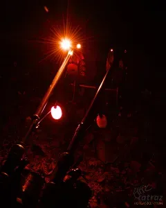 Fox Black Label Dumpy Halo Bobbin Kapásjelző - Zöld