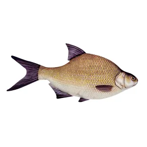 Dévérkeszeg Párna Halas 34 cm - Horgászoknak Párna