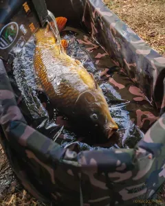 Fox Camo Deluxe Ovális Pontymatrac - Fox Camolite Deluxe Welded Mat