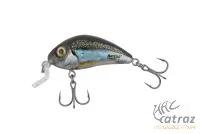 Salmo Hornet H3,5F SR CHS Wobbler - 3,5 cm Clear Holo Smelt