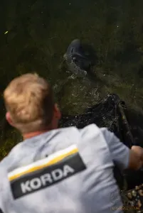 Korda Lakebed Tee Grey - Korda Szürke Horgász Póló