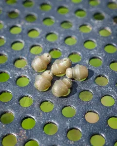 Matrix Hook Length Beads - Feeder Gyorskapocs
