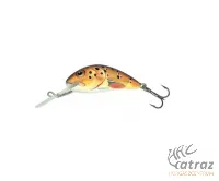 Salmo Hornet H3F T - Trout