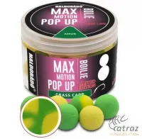 Haldorádó MaxMotion Boilie Pop-Up 16-20mm Amur - Haldorádó Amur Pop Up Csali