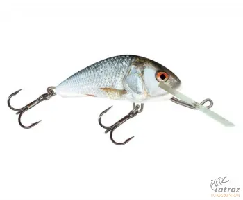 Salmo Hornet H4F RD - Real Dace