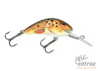Salmo Hornet H4F T - Trout