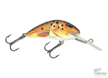 Salmo Hornet H4F T - Trout