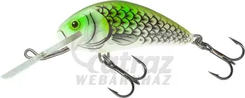 Salmo Hornet H5S OHS - Olive Hot Spot