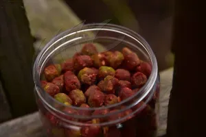 Dynamite Baits Durable Hybridz 8mm – Robin Red/Betain Green Horogcsali