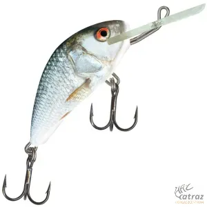 Salmo Hornet H5F RD - Real Dace