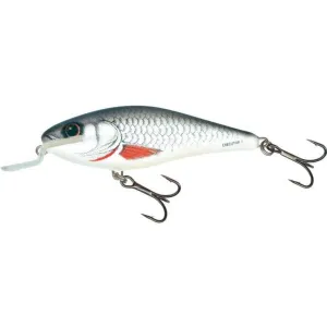 Salmo Executor IEX7SR RD - Real Dace