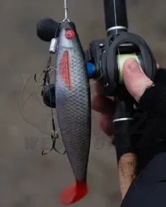 Fox Rage Pro Shad 10cm UV Ultra Natural Roach – Élethű Gumihal