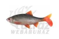 Fox Rage Ultra Natural Replicant Roach 14cm – Élethű Gumihal