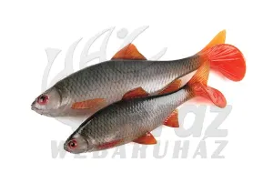 Fox Rage Ultra Natural Replicant Roach 14cm – Élethű Gumihal