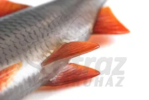 Fox Rage Ultra Natural Replicant Roach 14cm – Élethű Gumihal