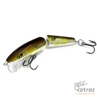 Rapala CDJ11 Special Chaser Edition - AYUC
