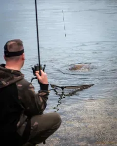 Fox Eos-X Landing Net 6ft 42" - Fox Eos-X Bojlis Merítő