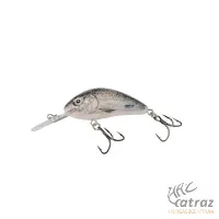 Salmo Rattlin Hornet H4,5F CWF - Classic White Fish