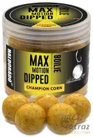 Haldorádó Max Motion Boilie Dipped 20 mm Champion Corn - Dippelt Haldorádó Bojli