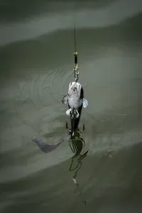 Fox Rage Ultra Natural Catfish Replicant - Fox Rage Harcsás Műcsali