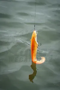 Fox Rage Ultra Realistic Catfish Replicant Golden Wels - Fox Rage Harcsás Műcsali