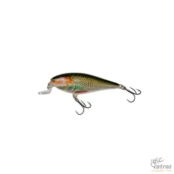 Salmo Executor IEX5SR GER - Green Roach