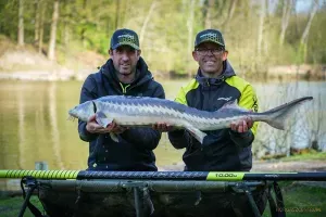Matrix Torque Carp Power 10.00m Pole Package - Matrix Rakós Bot