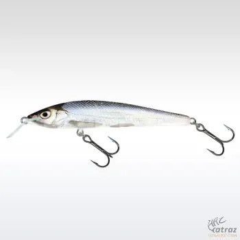 Salmo Sting S6F RBL - Real Bleak