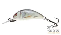 Salmo Floating Hornet H3F RD - Real Dace Salmo Wobbler