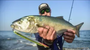 Rapala Flash-X Skitter 22CM 35G SFC - Rapala Flash-X Skitter Felszíni Műcsali