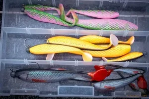 Fox Rage Zander Pro 7.5cm UV Golden Shiner - Fox Rage Gumihal