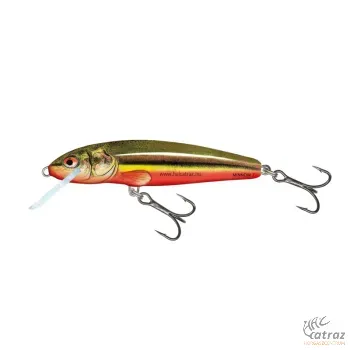 Salmo Minnow M5F RBD - Rainbow Dace