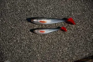 Fox Rage Zander Pro 7.5cm UV Natural Roach - Fox Rage Gumihal