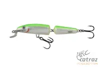 Salmo IF7FL LBS - Salmo Image Fanatic Wobbler 2024