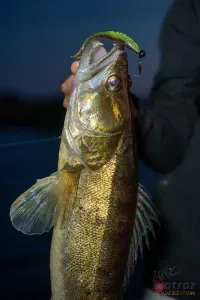 Fox Rage Scent Shads Electric Flash 9cm - Fox Rage Gumihal