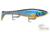 Rapala XRPT14 BGH