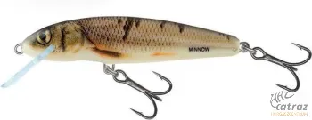 Salmo Minnow M6F WOD - Wounded Dace