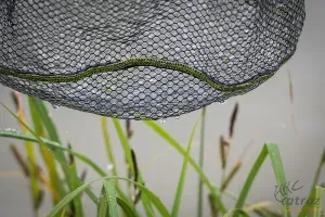 Merítőfej Matrix Carp 6mm Rubber Mesh 45x35cm - Matrix Gumírozott Merítőfej