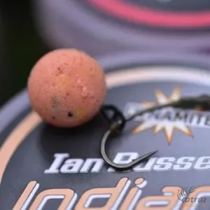 Dynamite Baits IR Indian Spicy Pop Ups 12 mm - Dynamite Baits Indiai Fűszeres Pop-Up Csali