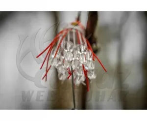 Black Cat Battle Teaser 120g Red Head – Vertikális Harcsacsali