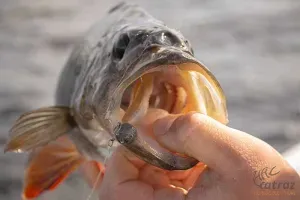 Fox Rage Scent Shads Ultra Natural Perch 11cm - Fox Rage Gumihal
