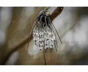 Black Cat Battle Teaser 160g Black Silver Flash – Vertikális Harcsacsali