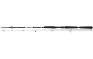 Daiwa BG Offshore Pilk 3,00m 50-165 gramm - Daiwa Pergető Bot