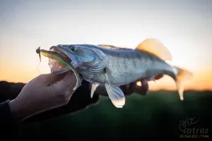 Fox Rage Scent Shads Crystal 11cm - Fox Rage Gumihal