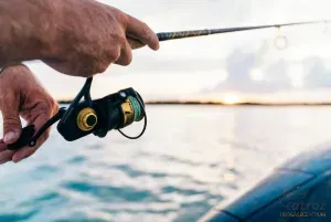 PENN Spinfisher VI 5500 Spining - PENN Elsőfékes Tengeri Orsó