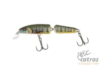 Salmo Fanatic 7F Lake Charr 7cm 5g - Salmo Wobbler LC