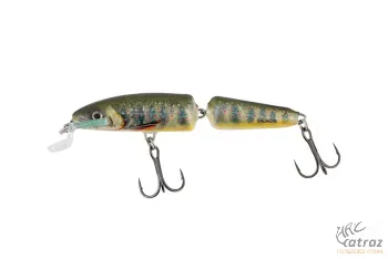 Salmo Fanatic 7F Lake Charr 7cm 5g - Salmo Wobbler LC