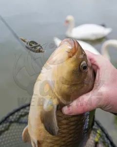 Matrix Method Feeder XS 25g - Method Kosár