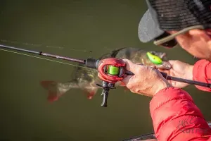 Fox Rage Warrior Zander Cast 10-40g 210cm - Casting Pergető Bot 2,10m